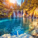 Nature 4