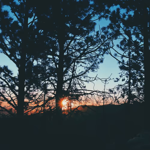 Ray of Light