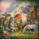Magical land