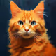 RedCat