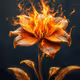 The orange flower