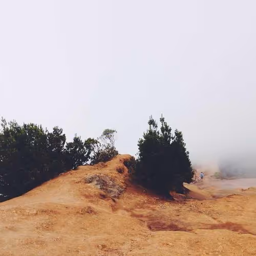 Convention Inches Sitemap