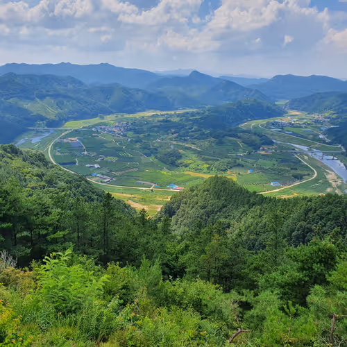 MUJU