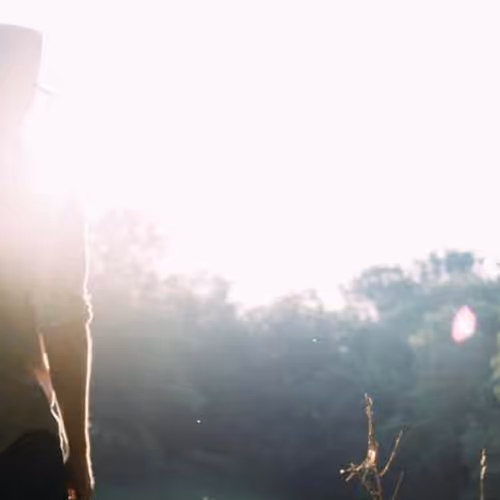 Punk Sponsorship Chance