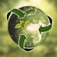 GREEN WEB 3.o