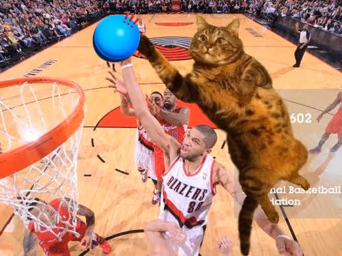 cat dunk enjoy