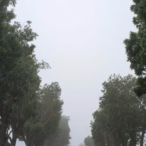 Enforcement Maintenance Tournament