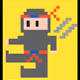 The Pixel Ninjas