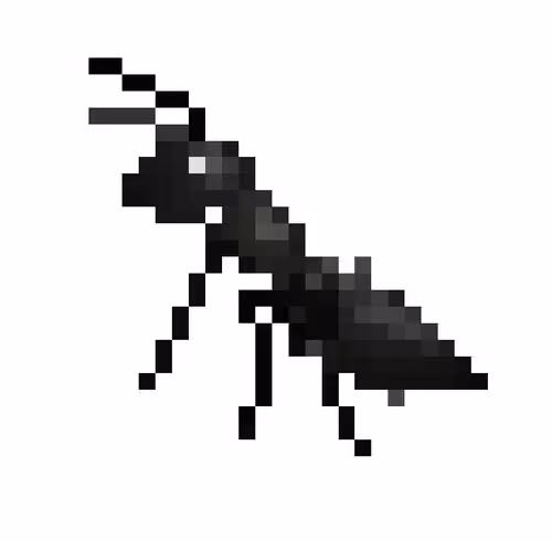 Ant
