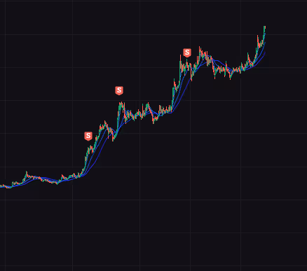 Nice Market
