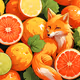 orange fox