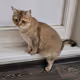 My KITTY