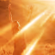 Touch of the Sun