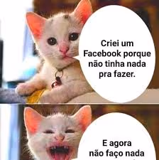 MEMES