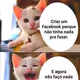 MEMES