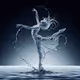 water dancer
