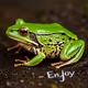 frog