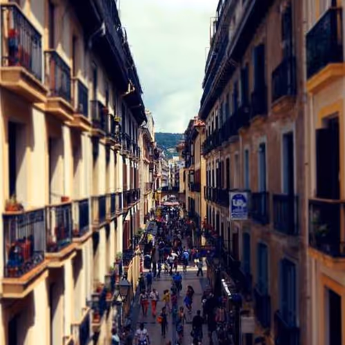 Everything Mad Plant