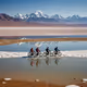 Lake Cycling