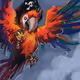 Pirate parrot arts