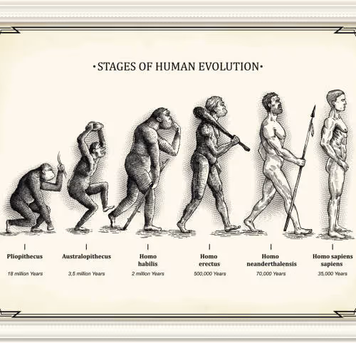 Evolution