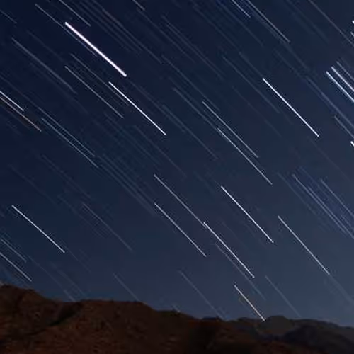 Arranged Thou Vitamin