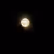 SUMMER MOON