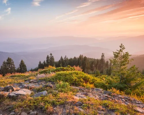Landscape