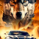 Racing Wolf