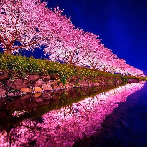mesmerizing view