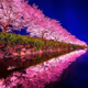 mesmerizing view