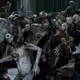 zombie apocalypse