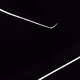 White lines