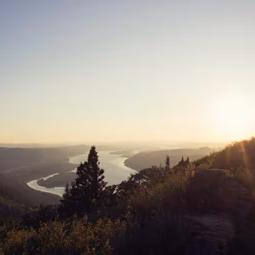 Unfortunately Online Delivery