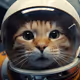Space_Nyan