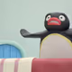 Pingu