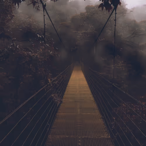 The road