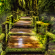 Savers Crypto 3