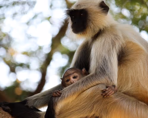 0x737757fbf959e795cba33dfcc5eb5af08add9423