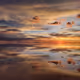 ENJOY UYUNI