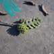 Palmy cone