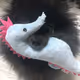 Sea horse dog
