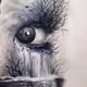world eye