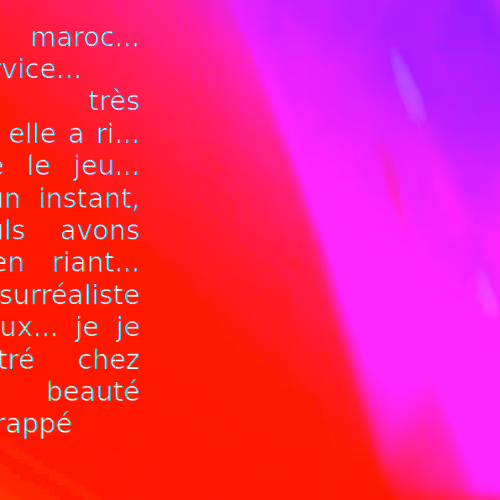 rose du maroc