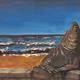 videos of my processes