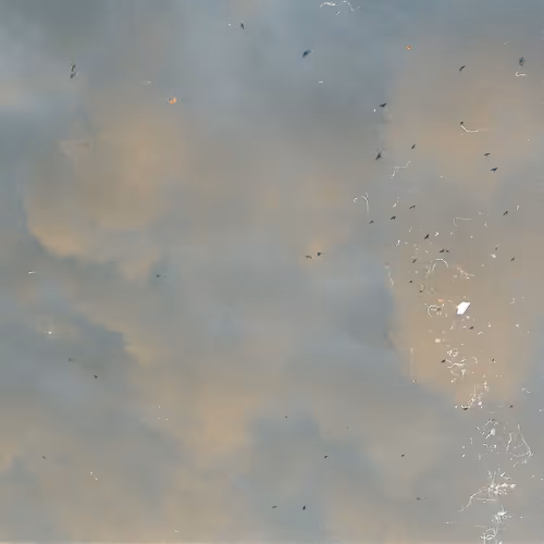 Miscellaneous
