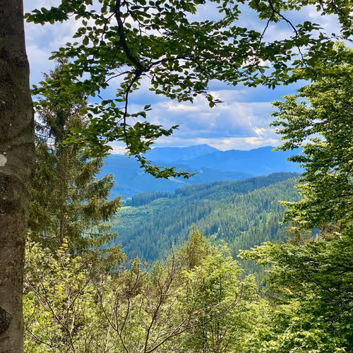 Landscapes of Austria