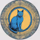 Zora Cat