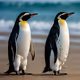 VietnamPenguin airdrop pass