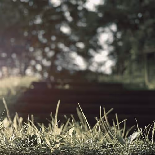 Thumbzilla Globe Profiles